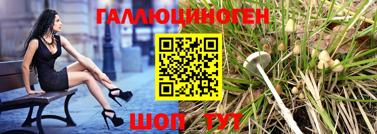 Галлюциногенные грибы ЛСД Камышин