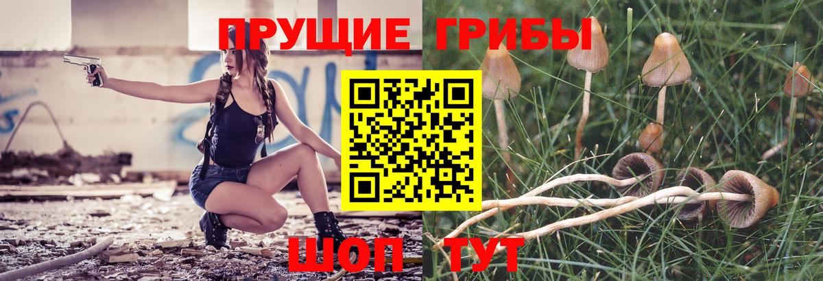 Галлюциногенные грибы MAGIC MUSHROOMS  Вход с VPN  Камышин 